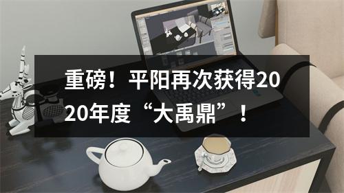 重磅！平阳再次获得2020年度“大禹鼎”！
