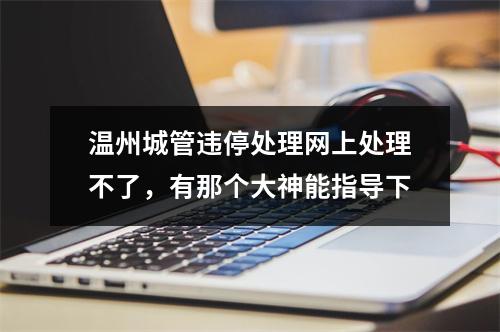 温州城管违停处理网上处理不了，有那个大神能指导下