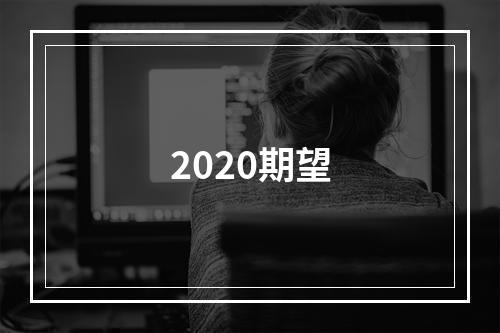2020期望