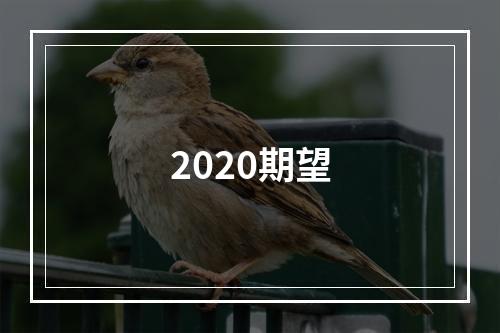 2020期望
