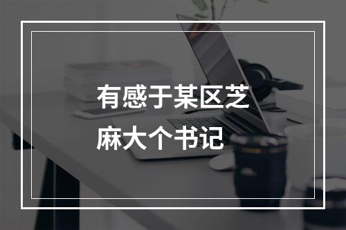 有感于某区芝麻大个书记