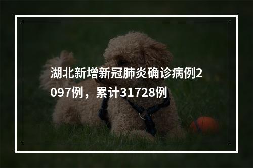 湖北新增新冠肺炎确诊病例2097例，累计31728例