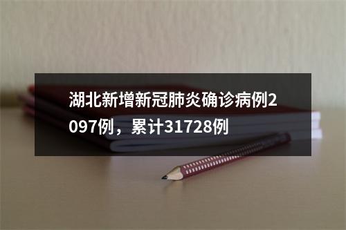 湖北新增新冠肺炎确诊病例2097例，累计31728例