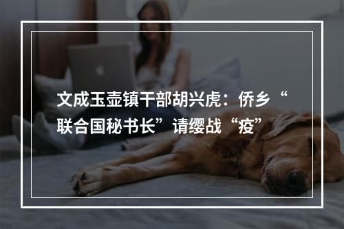 文成玉壶镇干部胡兴虎：侨乡“联合国秘书长”请缨战“疫”