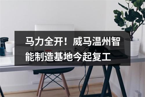 马力全开！威马温州智能制造基地今起复工