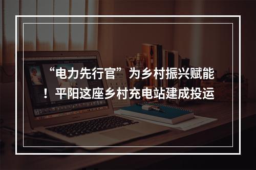“电力先行官”为乡村振兴赋能！平阳这座乡村充电站建成投运