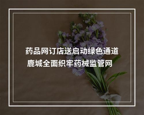 药品网订店送启动绿色通道 鹿城全面织牢药械监管网