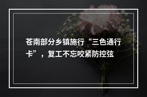 苍南部分乡镇施行“三色通行卡”，复工不忘咬紧防控弦