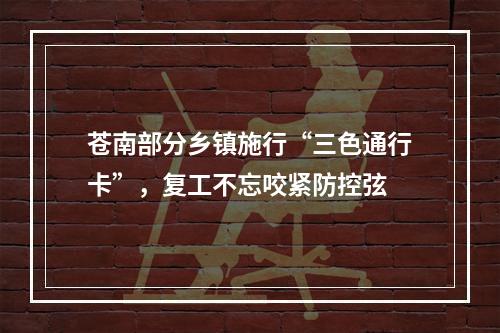 苍南部分乡镇施行“三色通行卡”，复工不忘咬紧防控弦