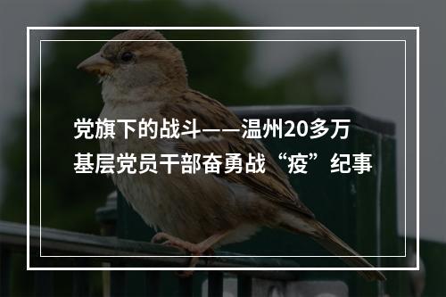党旗下的战斗——温州20多万基层党员干部奋勇战“疫”纪事