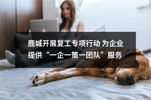 鹿城开展复工专项行动 为企业提供“一企一策一团队”服务
