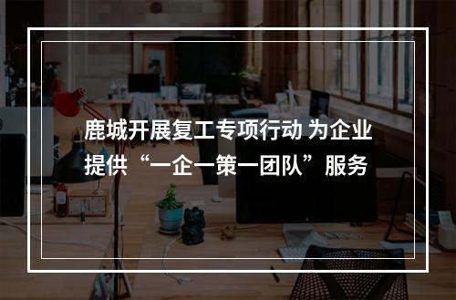 鹿城开展复工专项行动 为企业提供“一企一策一团队”服务