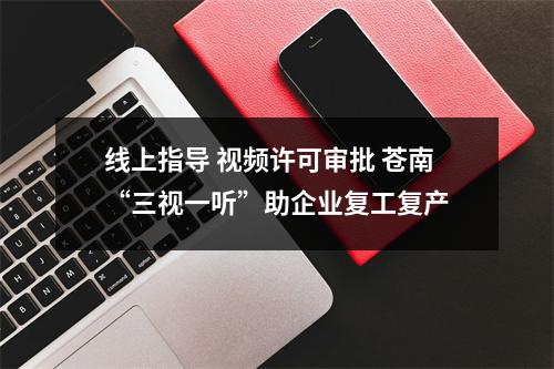 线上指导 视频许可审批 苍南“三视一听”助企业复工复产