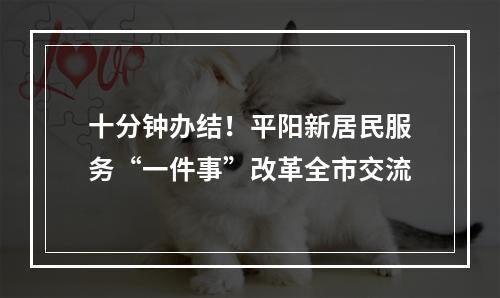 十分钟办结！平阳新居民服务“一件事”改革全市交流