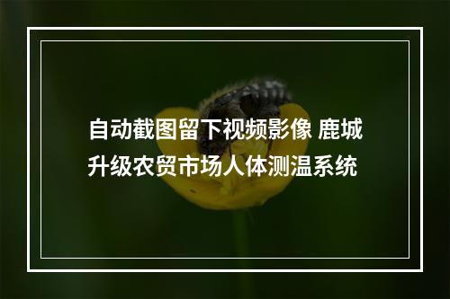 自动截图留下视频影像 鹿城升级农贸市场人体测温系统