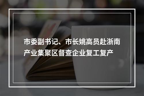 市委副书记、市长姚高员赴浙南产业集聚区督查企业复工复产
