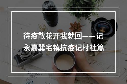 待疫散花开我就回——记永嘉巽宅镇抗疫记村社篇