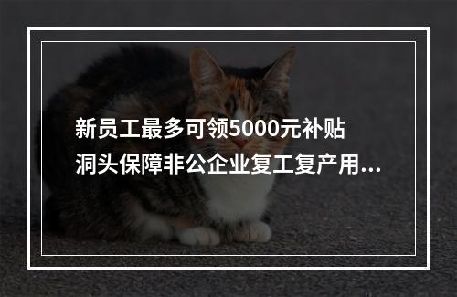 新员工最多可领5000元补贴 洞头保障非公企业复工复产用工
