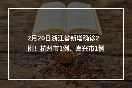 2月20日浙江省新增确诊2例！杭州市1例、嘉兴市1例