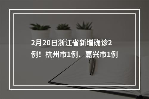 2月20日浙江省新增确诊2例！杭州市1例、嘉兴市1例