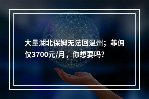 大量湖北保姆无法回温州；菲佣仅3700元/月，你想要吗？