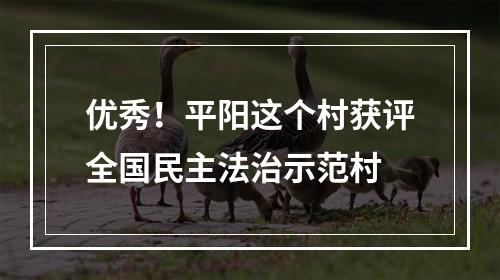优秀！平阳这个村获评全国民主法治示范村