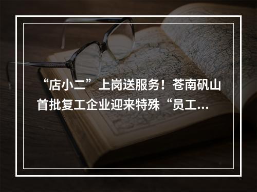 “店小二”上岗送服务！苍南矾山首批复工企业迎来特殊“员工”