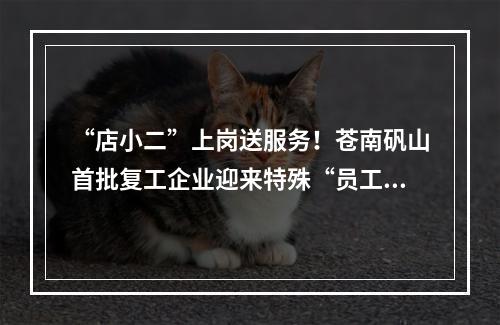 “店小二”上岗送服务！苍南矾山首批复工企业迎来特殊“员工”