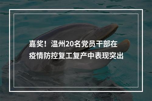 嘉奖！温州20名党员干部在疫情防控复工复产中表现突出