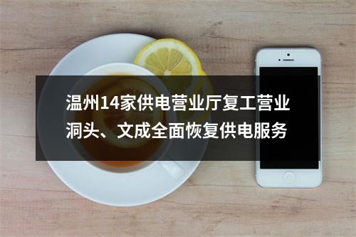 温州14家供电营业厅复工营业洞头、文成全面恢复供电服务