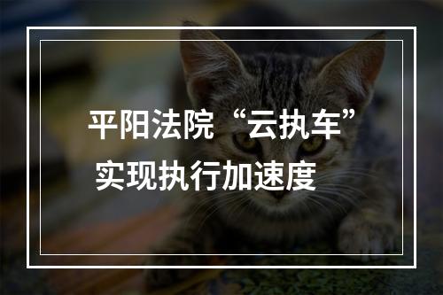 平阳法院“云执车” 实现执行加速度