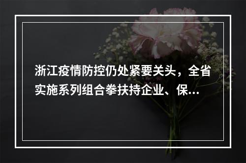 浙江疫情防控仍处紧要关头，全省实施系列组合拳扶持企业、保障民生
