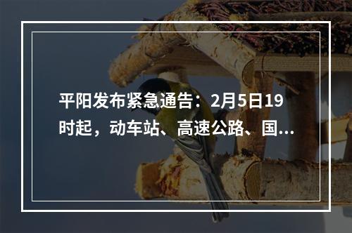 平阳发布紧急通告：2月5日19时起，动车站、高速公路、国省道等一律暂时关闭