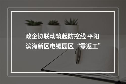 政企协联动筑起防控线 平阳滨海新区电镀园区“零返工”
