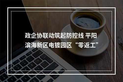 政企协联动筑起防控线 平阳滨海新区电镀园区“零返工”