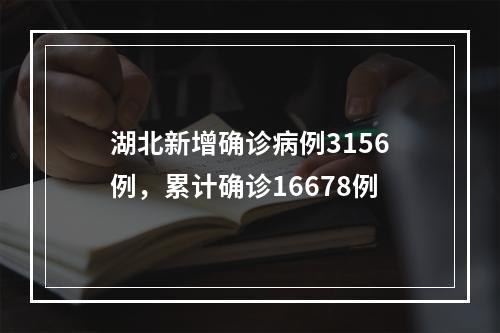 湖北新增确诊病例3156例，累计确诊16678例