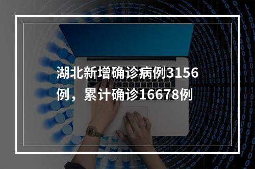 湖北新增确诊病例3156例，累计确诊16678例