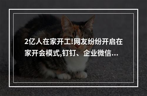2亿人在家开工!网友纷纷开启在家开会模式,钉钉、企业微信集体“崩溃”