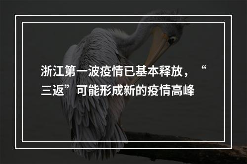 浙江第一波疫情已基本释放，“三返”可能形成新的疫情高峰