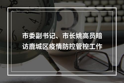 市委副书记、市长姚高员暗访鹿城区疫情防控管控工作