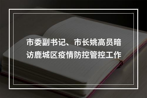 市委副书记、市长姚高员暗访鹿城区疫情防控管控工作