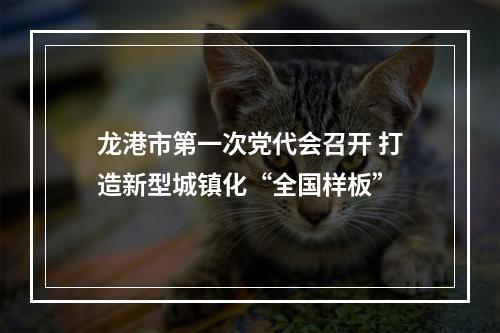 龙港市第一次党代会召开 打造新型城镇化“全国样板”
