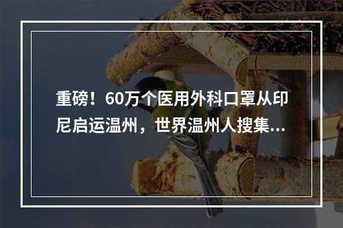 重磅！60万个医用外科口罩从印尼启运温州，世界温州人搜集医护物资支援家乡