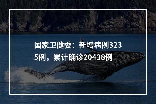 国家卫健委：新增病例3235例，累计确诊20438例