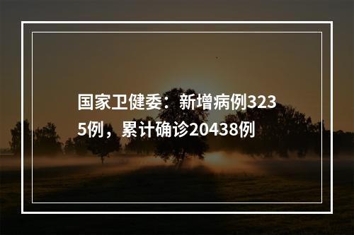 国家卫健委：新增病例3235例，累计确诊20438例