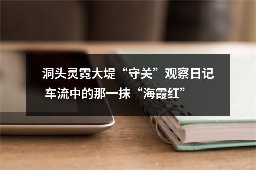 洞头灵霓大堤“守关”观察日记 车流中的那一抹“海霞红”