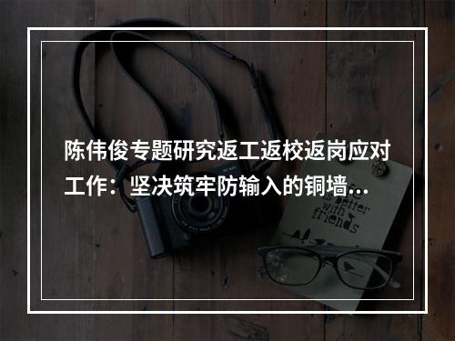 陈伟俊专题研究返工返校返岗应对工作：坚决筑牢防输入的铜墙铁壁