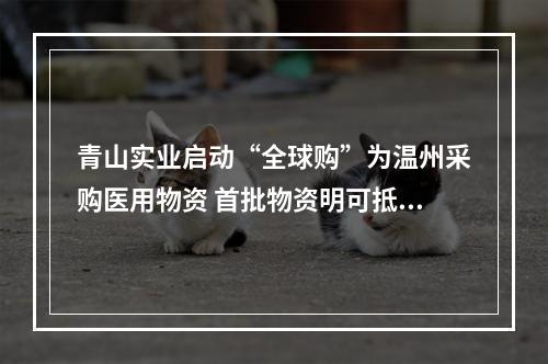 青山实业启动“全球购”为温州采购医用物资 首批物资明可抵温