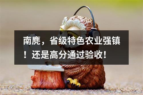 南麂，省级特色农业强镇！还是高分通过验收！