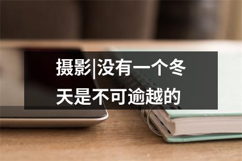 摄影|没有一个冬天是不可逾越的